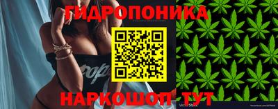 мет Кандалакша