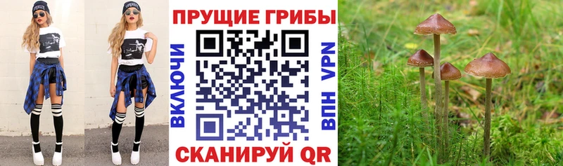 Псилоцибиновые грибы Magic Shrooms Сосновоборск