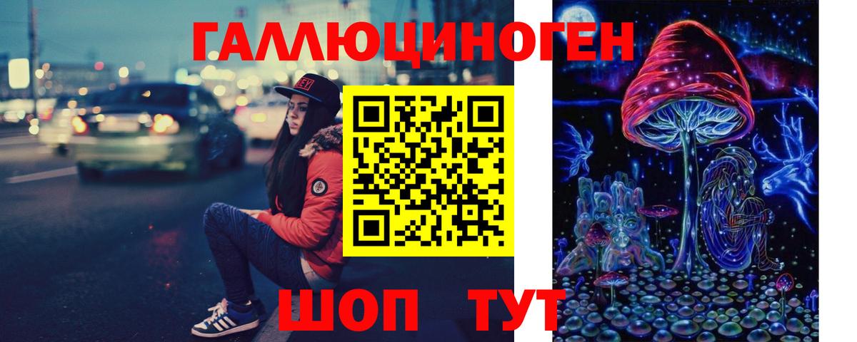 Сосновоборск  Псилоцибиновые грибы GOLDEN TEACHER  Псилоцибиновые грибы GOLDEN TEACHER  где купить наркоту  Вход с VPN 