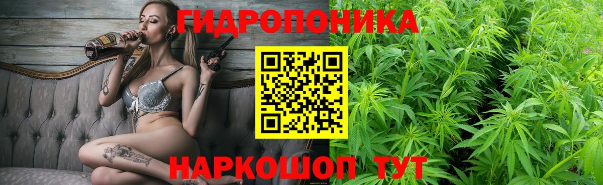 Конопля ГИДРОПОН  МАРИХУАНА семена  Бошки марихуана ГИДРОПОН  Сосновоборск 